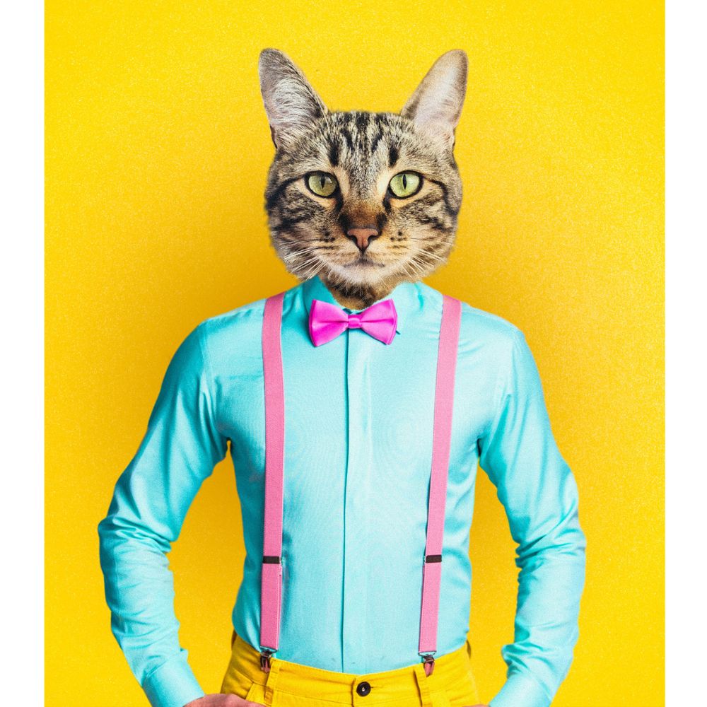 Bow guy tie pet portrait. This is a modern take on a pet portrait. Customize with your pets image. Great for décor, memorials, and gifts.