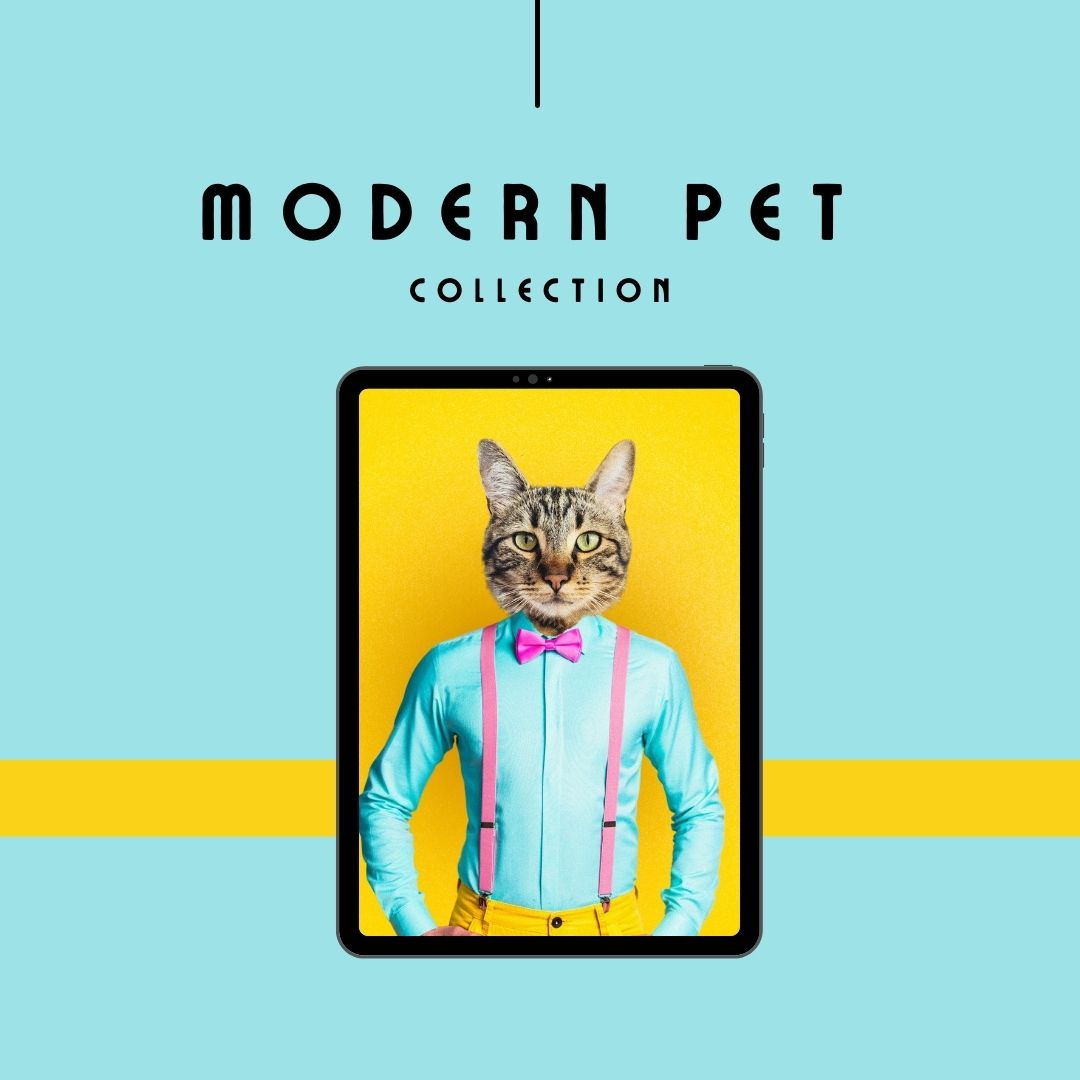 Modern Pet Collection