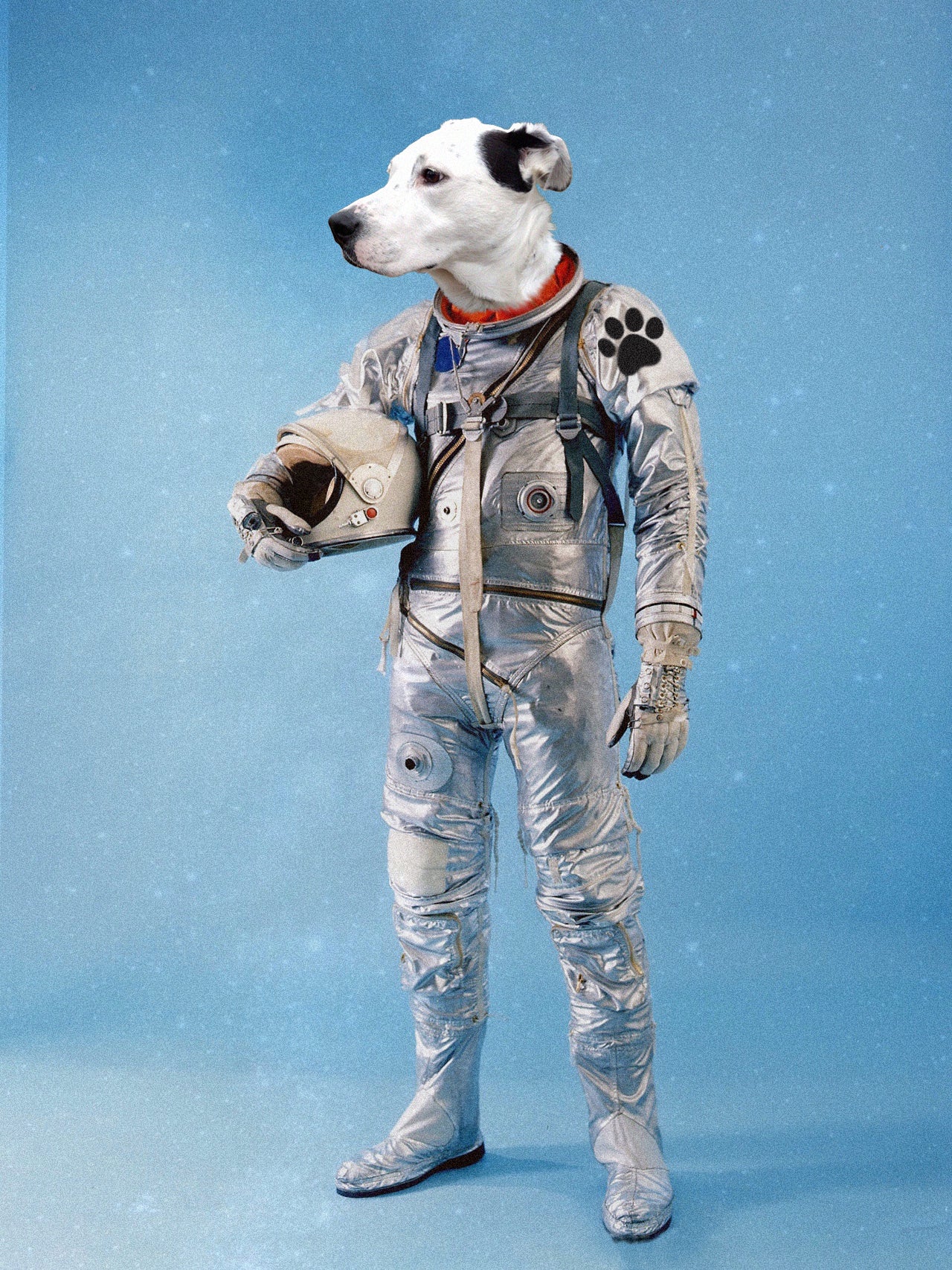 Retro Astronaut - Custom Portrait